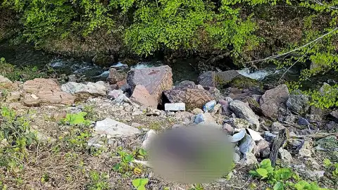 Düzce Yaylasında Dere Kenarında Bıçaklanmış Erkek Cesedi Bulundu