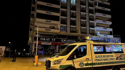 Elazığ'da Çocuklarının Gözü Önünde Eşini Öldüren Şüpheli Gözaltına Alındı