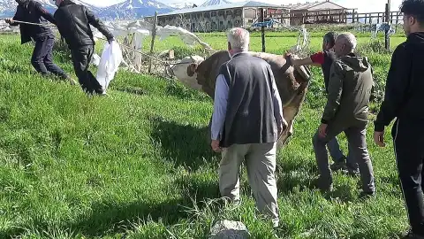 Erzurum'da Kurban Kesimi Sırasında Acı Kayıplar: Bir Kişi Hayatını Kaybetti, Çok Sayıda Yaralı Var