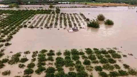 Hatay'da Aşırı Yağışlar Sonucu Asi Nehri Taştı: Tarım Arazileri Sular Altında Kaldı