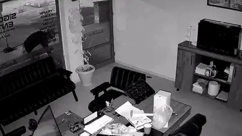 İş Yeri Önündeki Saksıdan Çiçekler Kimliği Belirsiz Kişi Tarafından Sökülerek Çalındı