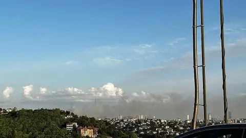 İstanbul Beykoz'da Korkutan Yangın: Ekipler Müdahale Ediyor