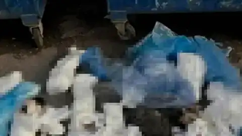 İzmir'de 33 Kedi Ölümüyle İlgili Veteriner Hekim Tutuklandı