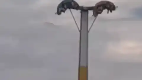 İzmir'de Lunapark Kabusu: Oyuncak Arızaları Vatandaşları Mahsur Bıraktı