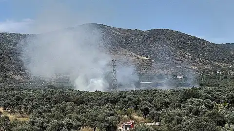 İzmir'in Bayındır İlçesinde Zeytinlik Alanda Yangın Çıktı