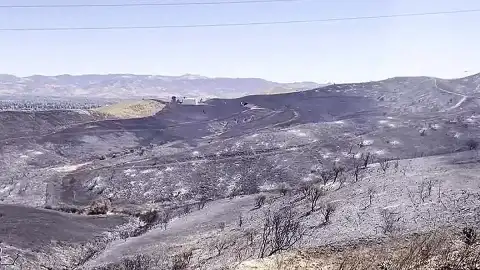 Kaliforniya'da Günlerdir Süren Orman Yangını Kontrol Altına Alınamıyor