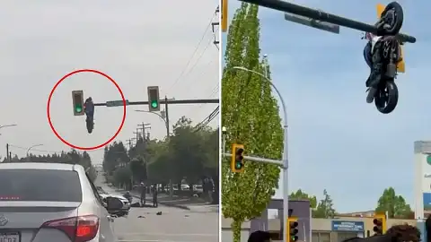 Kanada'da Trafik Işığında Asılı Kalan Motosiklet Şaşkınlık Yarattı