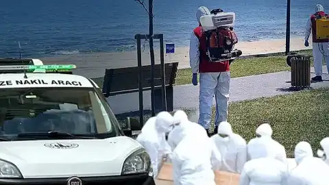 Kene Tehdidi Artıyor: Can Kaybı Üçe Yükseldi, Riskli Bölgeler Belirlendi