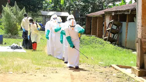 Kongo Demokratik Cumhuriyeti'nde Ebola Salgını Endişe Veriyor: Vaka ve Ölüm Sayıları Artıyor