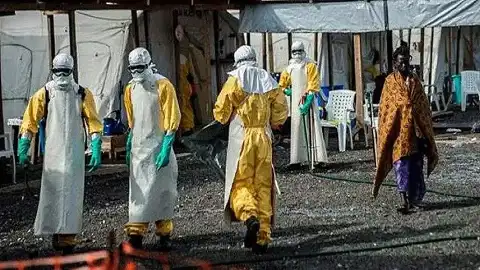 Kongo'da Ebola Salgını Yeniden Başladı: 65 Can Kaybı, Salgın Uganda'ya Sıçradı