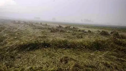 Osmaniye'de Sağanak Nedeniyle Evinde Mahsur Kalan Yaşlı Kadın Kurtarıldı