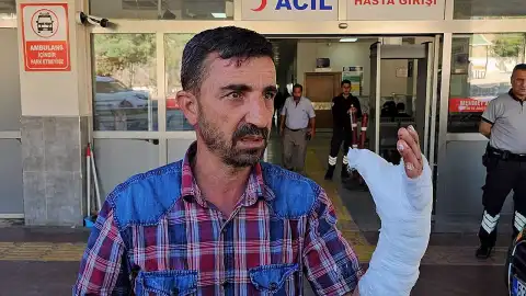 Şanlıurfa'da Kurban Kesimi Sırasında 232 Kişi Yaralandı