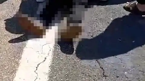 Şanlıurfa'da Kurbanlık Yüklü Kamyonet Devrildi: 1 Kişi Hayatını Kaybetti, 1 Yaralı