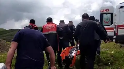Sivas'ta Mantar Toplarken Ayı Saldırısı: Bir Vatandaşın Parmağı Koptu
