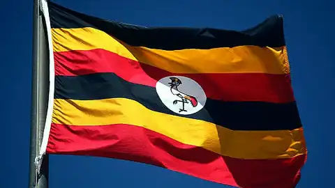 Uganda'da Ebola Vaka Sayısı 5'e Yükseldi: 3 Yeni Vaka Doğrulandı