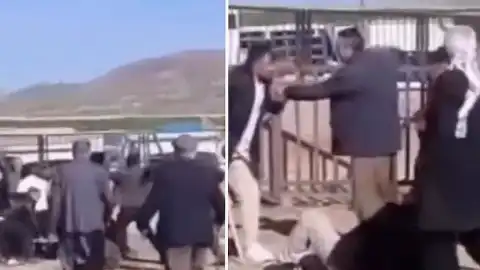 Van Hayvan Pazarı'nda Kanlı Kavga: 1 Ölü, 13 Yaralı