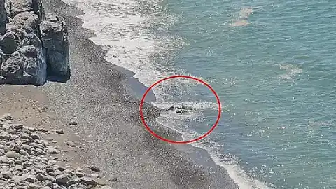 Zonguldak Sahilinde Ceset Paniği: İnceleme Sonucu Kaya Parçası Olduğu Anlaşıldı