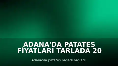 Adana'da Patates Fiyatları Tarlada 20 TL'ye Düştü