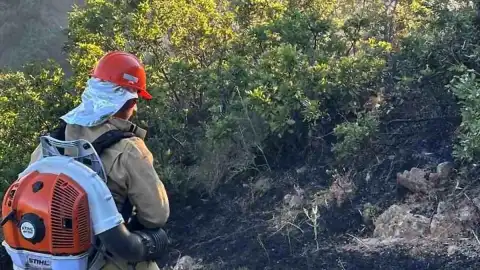 Bingöl Çavuşlar Köyü Yakınlarında Çıkan Orman Yangını Kontrol Altına Alındı