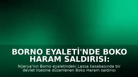 Borno Eyaleti'nde Boko Haram Saldırısı: Okulda Çok Sayıda Öğrenci Kaçırıldı