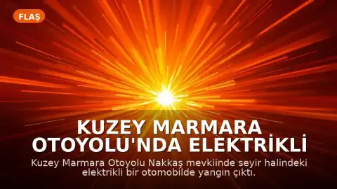 Kuzey Marmara Otoyolu'nda Elektrikli Otomobil Yangını: Aile Son Anda Kurtuldu