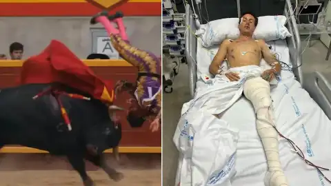 Madrid'deki Copa Chenel Turnuvasında Matador Ağır Yaralandı