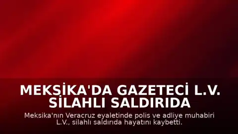 Meksika'da Gazeteci L.V. Silahlı Saldırıda Hayatını Kaybetti