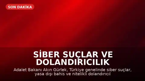 Siber Suçlar ve Dolandırıcılık Soruşturmalarında 221 Gözaltı Kararı