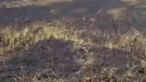 Siverek'te Arazi Yangını: 3 Yaralı ve 200 Dönümlük Zarar