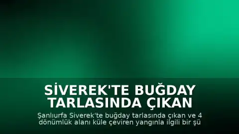 Siverek'te Buğday Tarlasında Çıkan Yangınla İlgili Bir Şüpheli Yakalandı