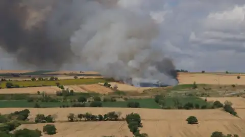 Tekirdağ Süleymanpaşa'da Yangın: 100 Dekar Buğday Ekili Alan Kül Oldu