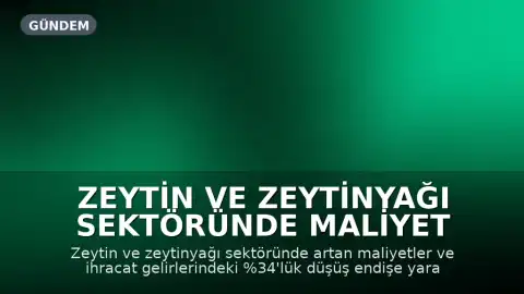 Zeytin ve Zeytinyağı Sektöründe Maliyet ve İhracat Kaygıları