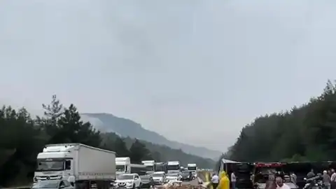 Adana-Pozantı Otoyolu'nda Tır Devrildi: Trafik Akışı Durdu