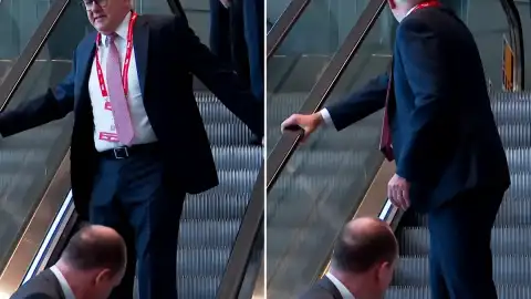 Adelaide'deki Konferans Sırasında Avustralya Başbakanı Anthony Albanese Yürüyen Merdivende Düşme Tehlikesi Geçirdi