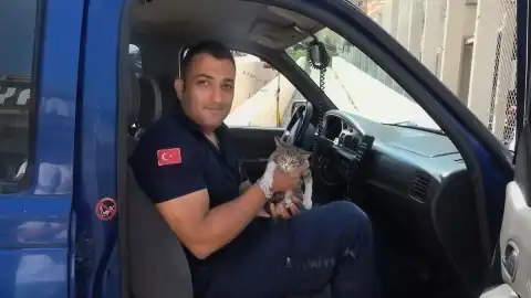 Amasya'da Otomobil Motoruna Sıkışan Yavru Kedi İtfaiye Tarafından Kurtarıldı