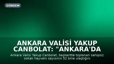 Ankara Valisi Yakup Canbolat: "Ankara'da toplanan sahipsiz sokak hayvanı sayısı 52 bine ulaştı"