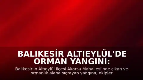Balıkesir Altıeylül'de Orman Yangını: Müdahale Devam Ediyor