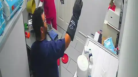 Bursa Orhangazi'de Veteriner Kliniğinde Sıra Dışı Olay: Sokak Kedisi Panik Yarattı