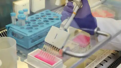 Bursa Teknik Üniversitesi'nden Diyabetik Yaralar İçin Arı Sütü Temelli Yerli Çözüm Çalışması
