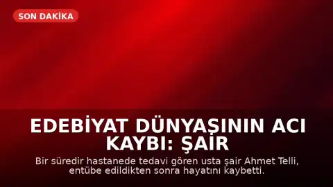 Edebiyat Dünyasının Acı Kaybı: Şair Ahmet Telli Hayatını Kaybetti