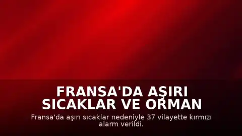 Fransa'da Aşırı Sıcaklar ve Orman Yangınları: 37 Vilayet İçin Kırmızı Alarm Verildi