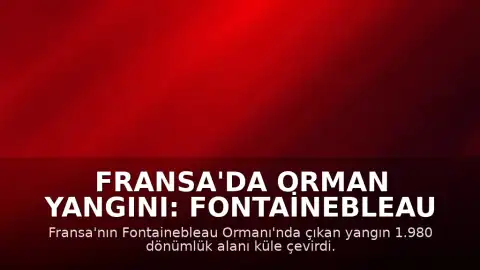Fransa'da Orman Yangını: Fontainebleau Ormanı'nda Bin 980 Dönümlük Alan Kül Oldu