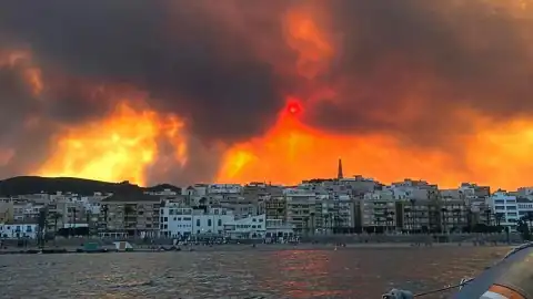 İspanya Almeria'daki Orman Yangınında Can Kaybı Artıyor: En Az 11 Ölü