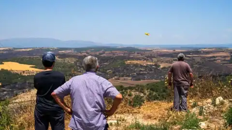 İspanya Katalonya'da Orman Yangını: 2.300 Hektarlık Alan Tahrip Oldu