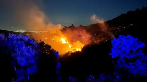 İzmir Ödemiş'te Ormanlık Alanda Yangın Çıktı