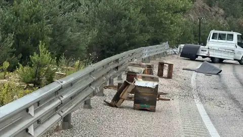 Kastamonu'da arı kovanı yüklü kamyonetin bariyere çarpması sonucu 2 yaralı