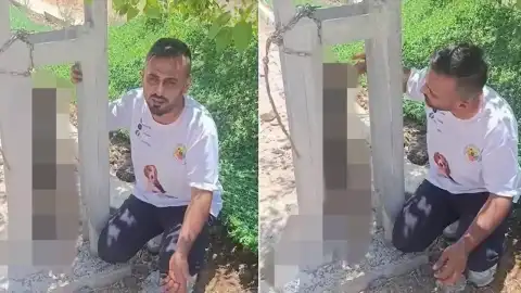 Kırıkhan'da Sahipli Köpek Direğe Asılı Bulundu: Hayvanseverler Tepkili
