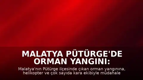 Malatya Pütürge'de Orman Yangını: Ekiplerin Müdahalesi Sürüyor