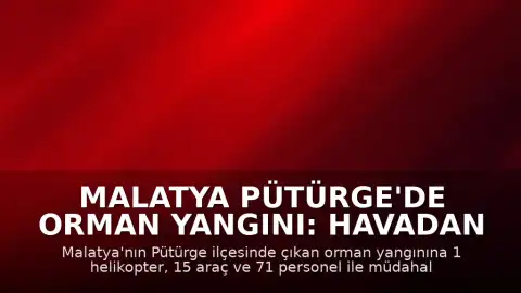 Malatya Pütürge'de Orman Yangını: Havadan ve Karadan Müdahale Sürüyor