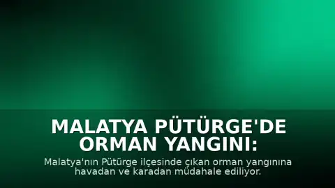 Malatya Pütürge'de Orman Yangını: Müdahale Devam Ediyor